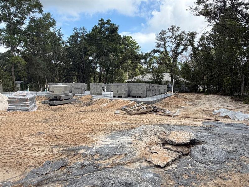 Site preparation for new homesites in Orange Blossom Hills, Summerfield (Image 3).