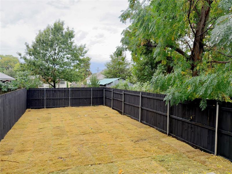 View of fenced backyard