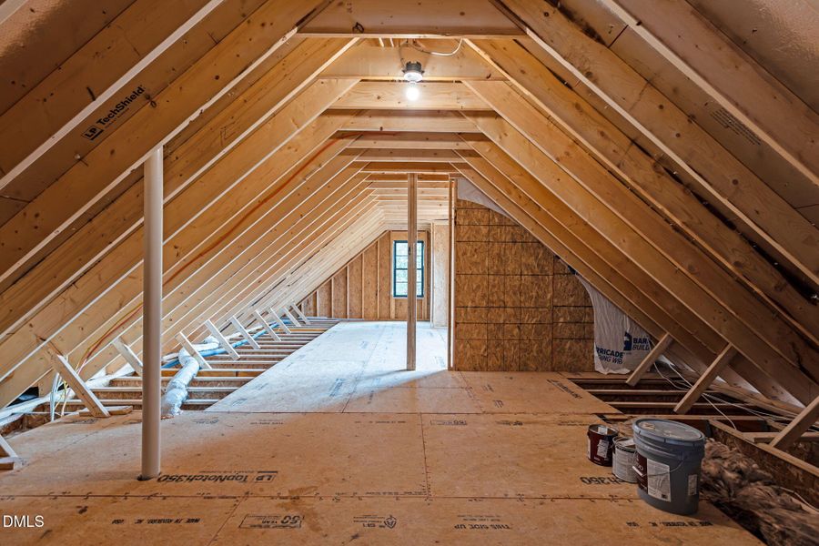 56-web-or-mls-2N6A8039