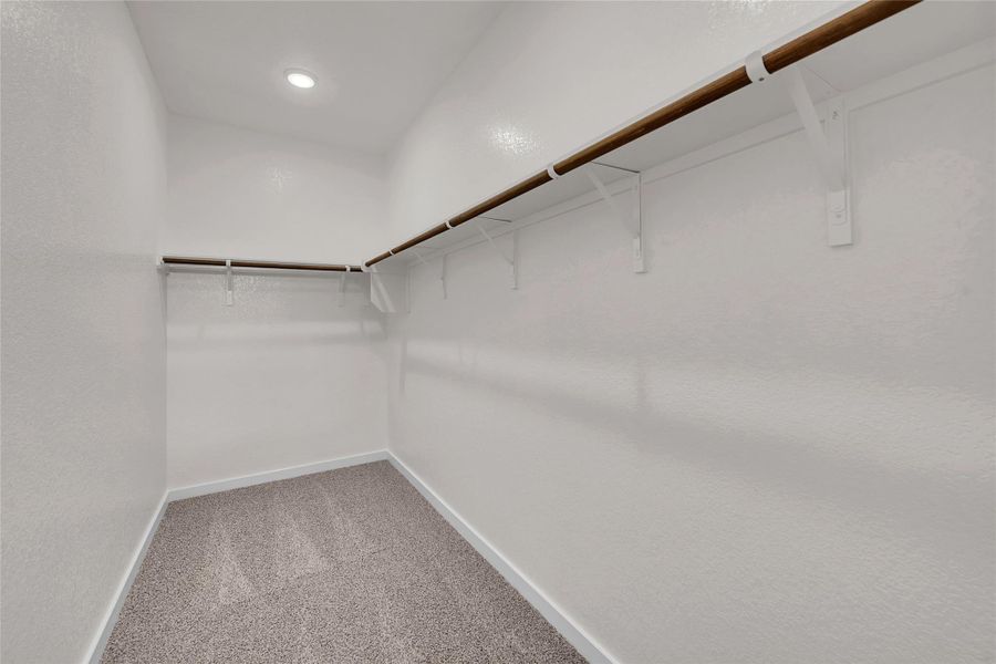 Spacious closet featuring light colored carpet