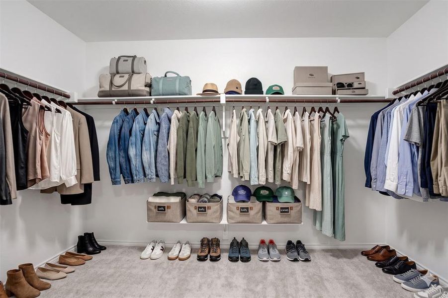 Spacious walk-in closet featuring white walls, light gray carpeting, and multiple integrated white shelving units