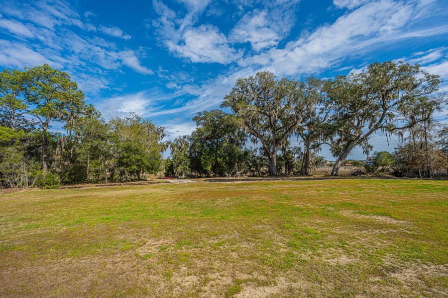 Natural landscape and outdoor views near in Johns Island (Image 69). Natural landscape and outdoor views near in Johns Island (Image 69).
