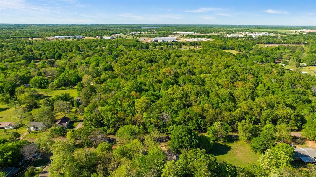 Natural landscape and outdoor views near  in Paris (Image 19).