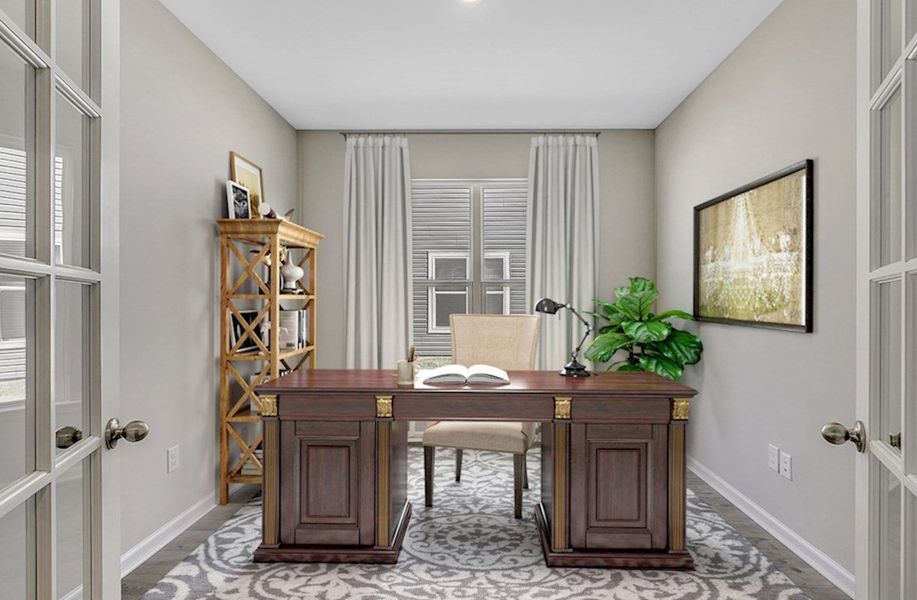 Savannah Study Savannah Study