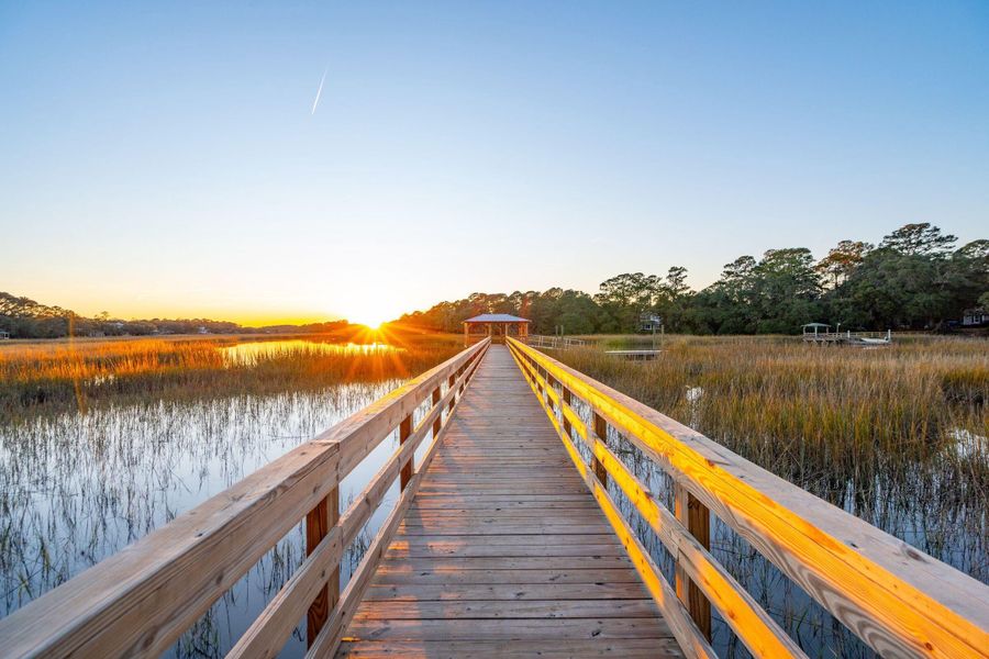 Natural landscape and outdoor views near  in Charleston (Image 3).