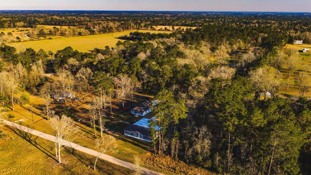 Natural landscape and outdoor views near  in Livingston (Image 29).