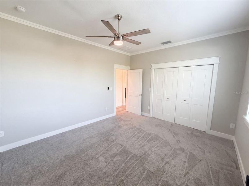 Spacious, unfurnished interior of a new home in , Dunedin (Image 42).