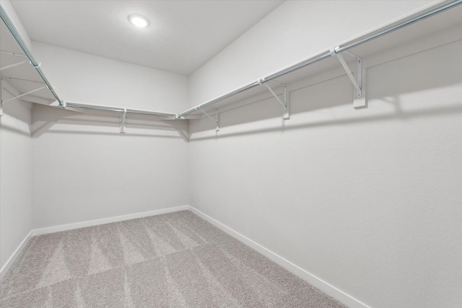 A white room with a grey carpet. A white room with a grey carpet.