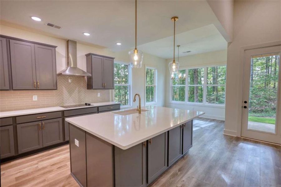 Furnished interior view inside a new home in , Monticello (Image 13).