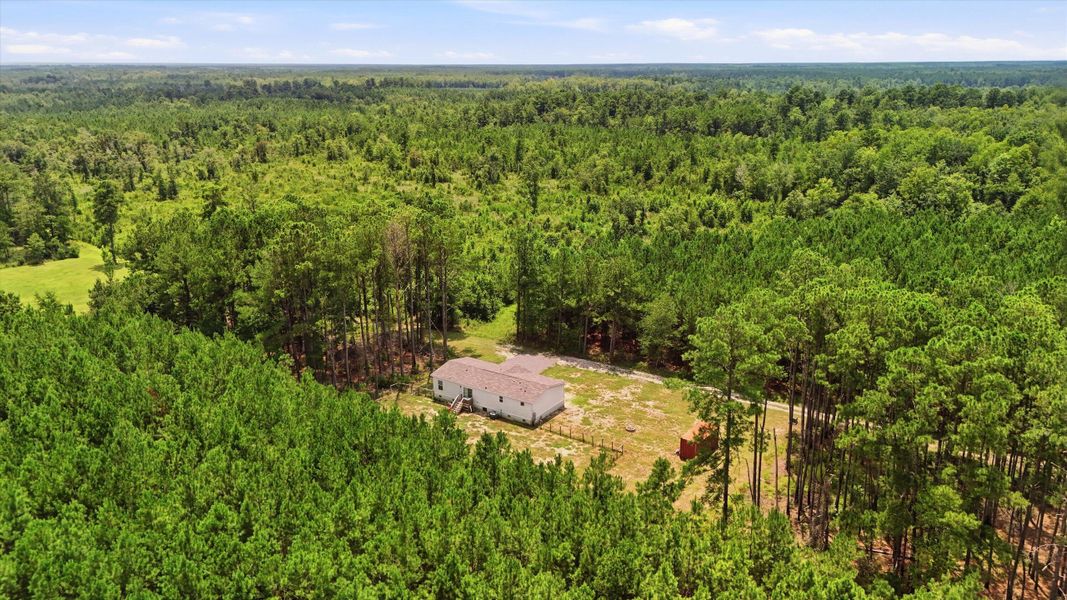 Natural landscape and outdoor views near in Cross (Image 34). Natural landscape and outdoor views near in Cross (Image 34).