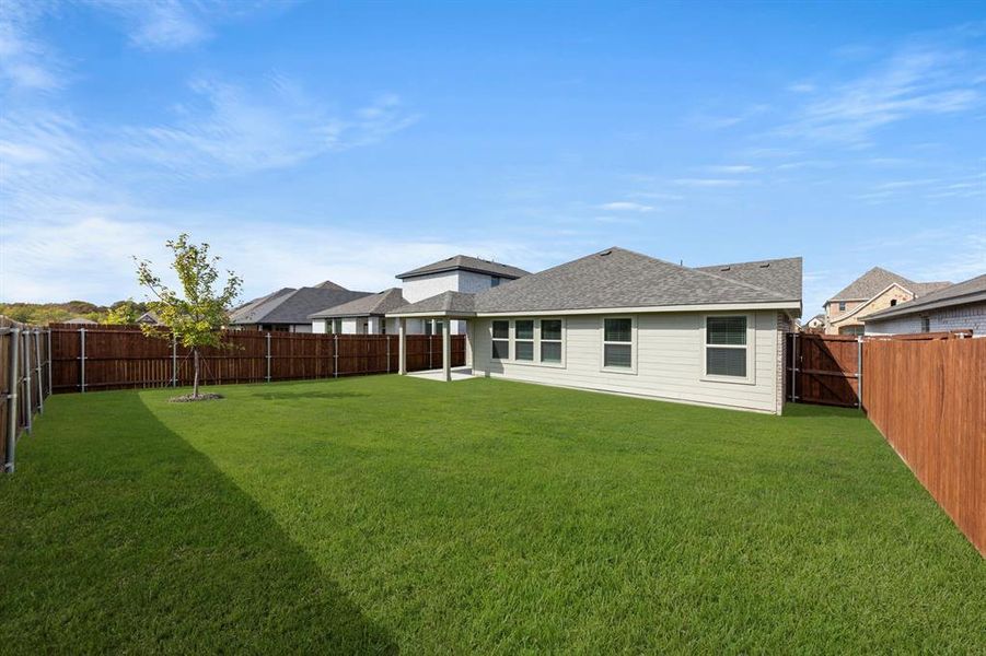 27. 3229 Timineri - Back (2) 27. 3229 Timineri - Back (2)