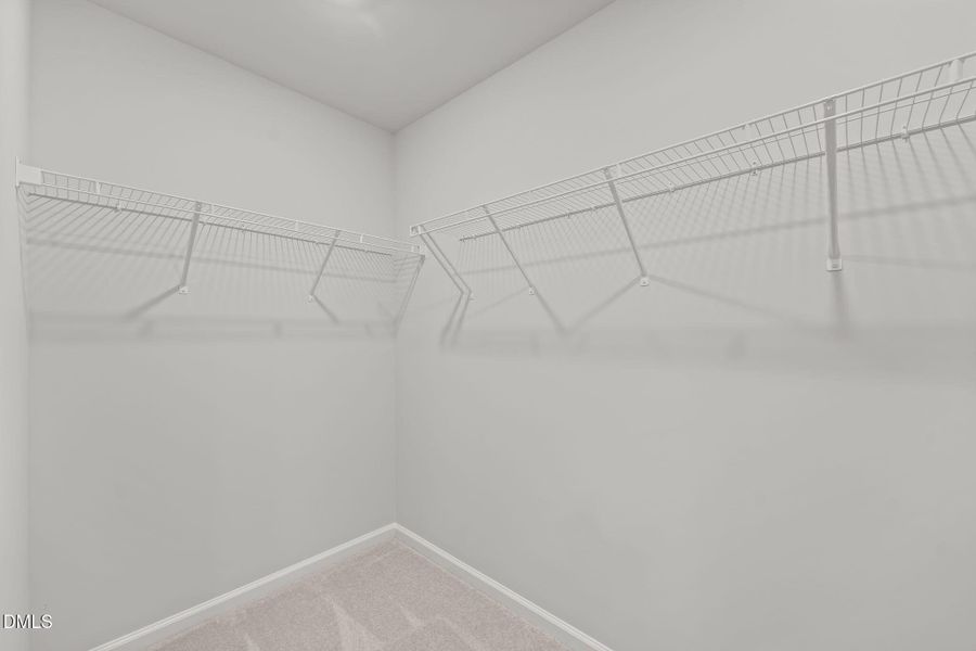 737 Painted Daisy Way