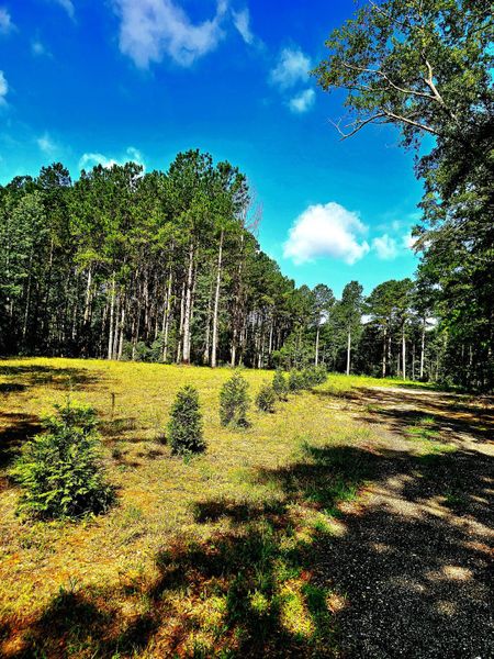 Natural landscape and outdoor views near in Hartsville (Image 6). Natural landscape and outdoor views near in Hartsville (Image 6).