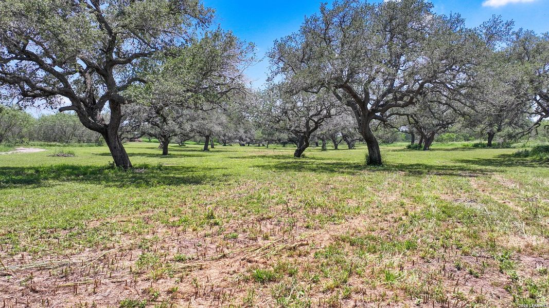 Natural landscape and outdoor views near in Kenedy (Image 22). Natural landscape and outdoor views near in Kenedy (Image 22).