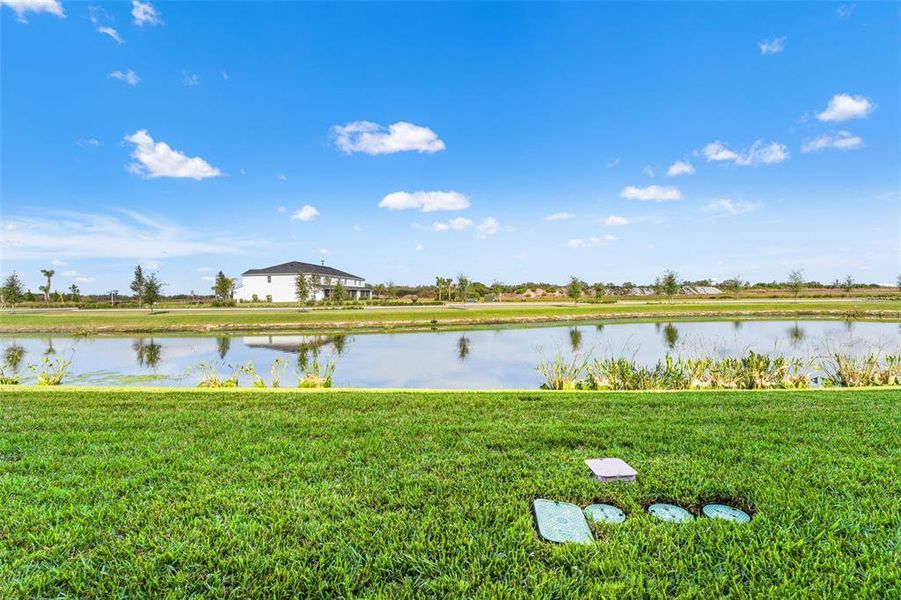 Natural landscape and outdoor views near  in Bradenton (Image 27).