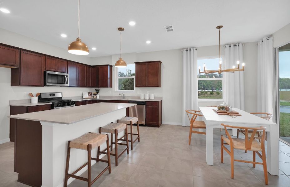 Furnished interior view inside a new home in Double Branch, Middleburg (Image 5).