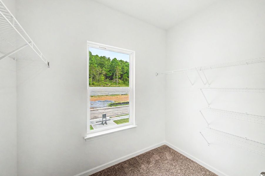 Spacious, unfurnished interior of a new home in Ironhorse, Dickson (Image 20).