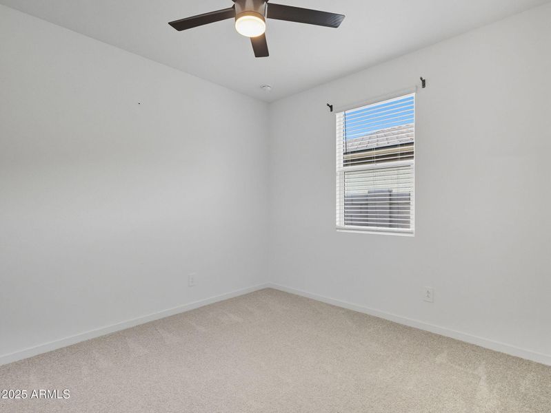 47-web-or-mls-Bee-47 47-web-or-mls-Bee-47