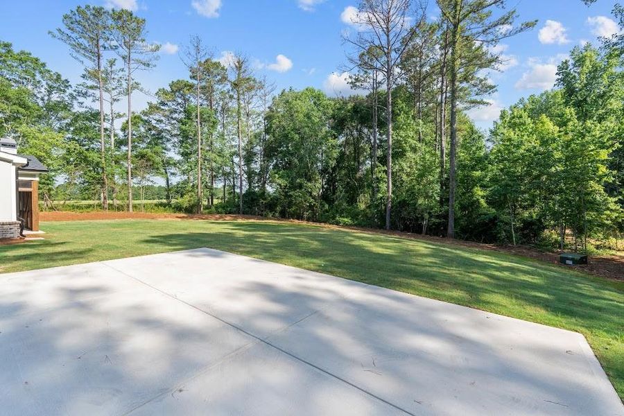 Natural landscape and outdoor views near  in Carrollton (Image 49).
