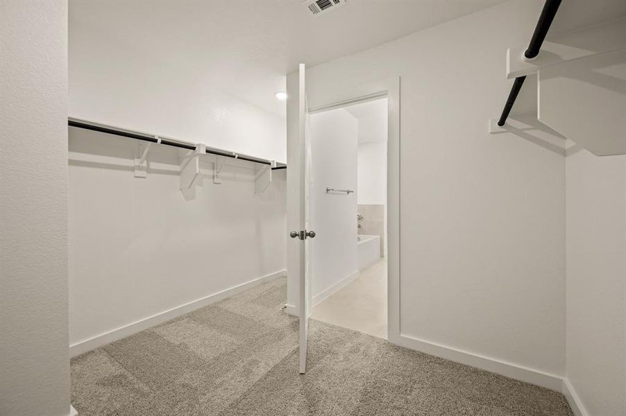 Spacious, unfurnished interior of a new home in Runaway Bay, Runaway Bay (Image 26). Spacious, unfurnished interior of a new home in Runaway Bay, Runaway Bay (Image 26).