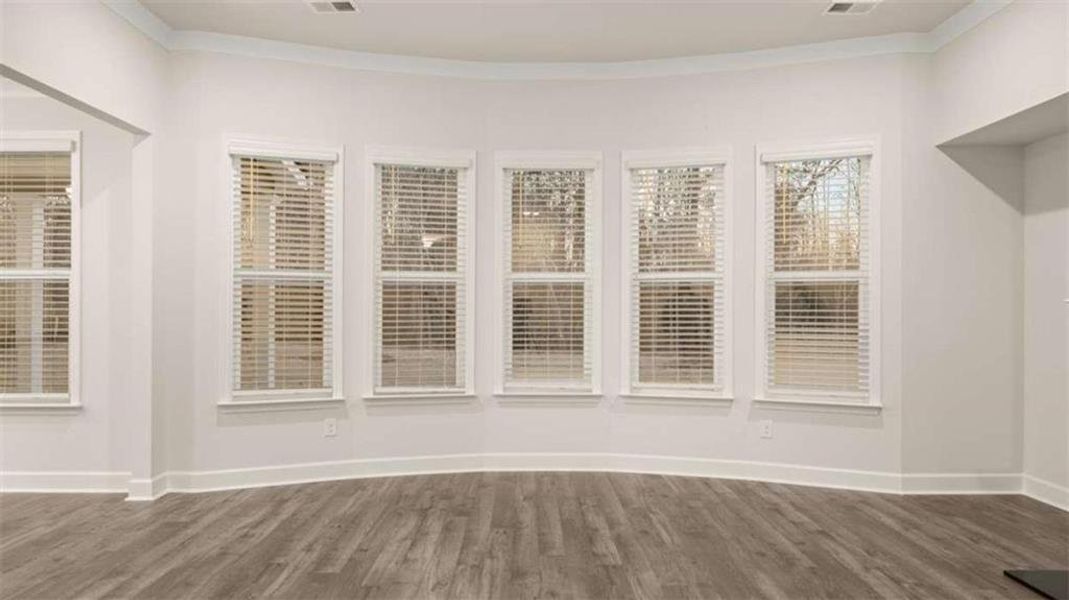 Spacious, unfurnished interior of a new home in Heritage Pointe, Senoia (Image 58).