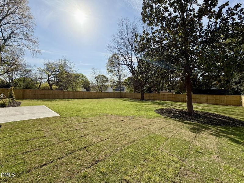 Backyard