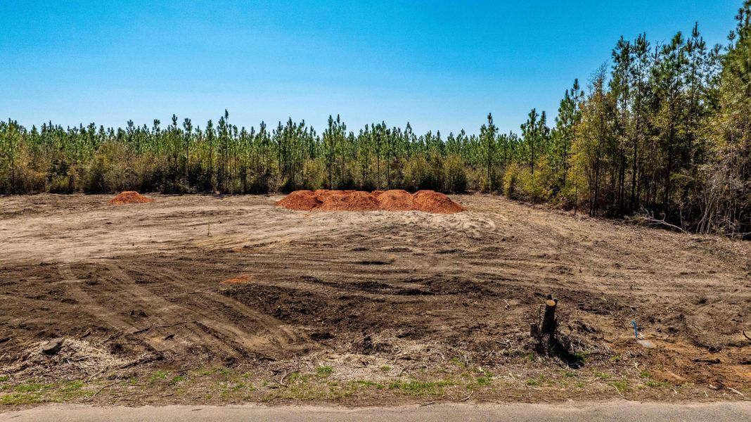 HIRESImage-13 HIRESImage-13