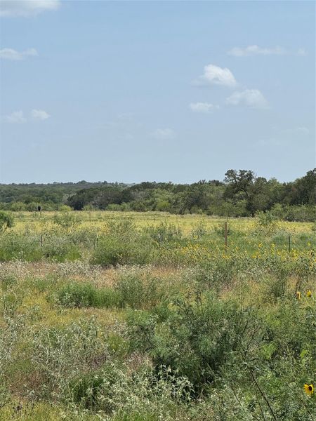 Wildflowers and native brush stretch across this expansive countryside acreage under a clear blue sky.