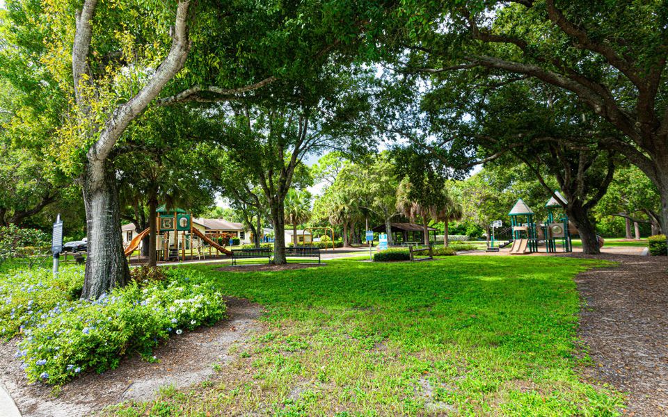 Natural landscape and outdoor views near  in Jupiter (Image 31).