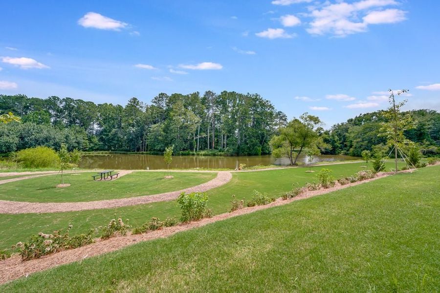 Natural landscape and outdoor views near Windance Lake in Loganville (Image 42).