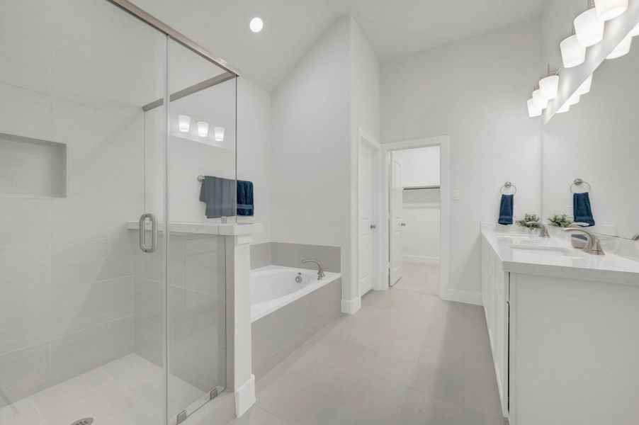 Owner's Bathroom
