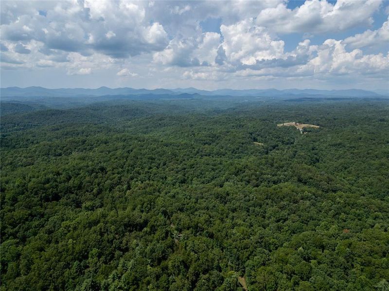 Natural landscape and outdoor views near  in Dahlonega (Image 51).