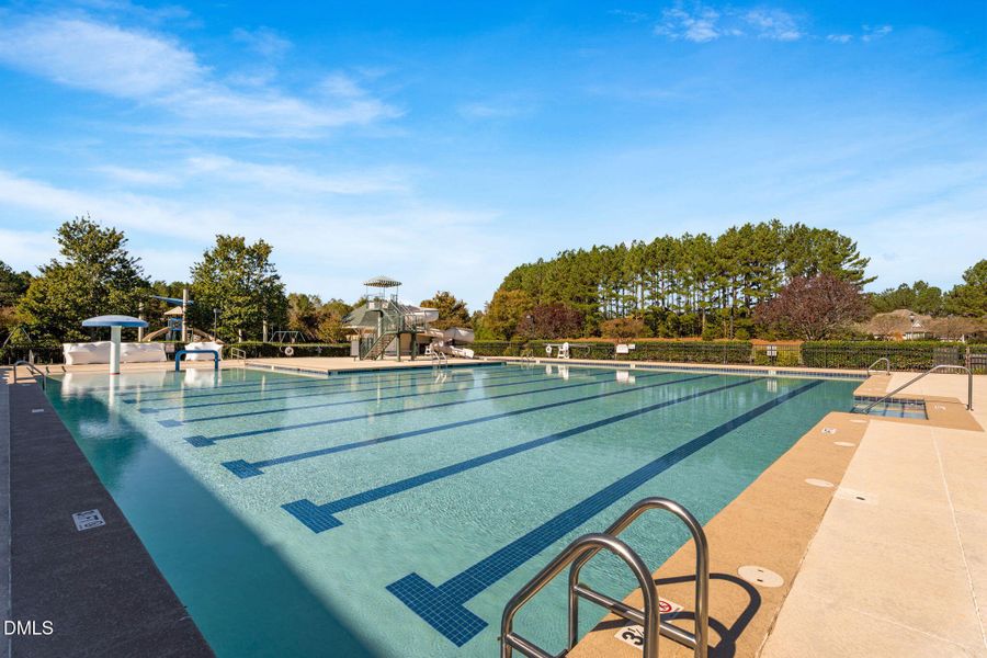 54-web-or-mls-DSC04417