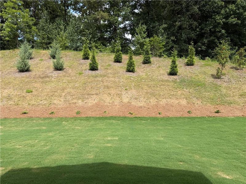 Natural landscape and outdoor views near Villas at Dawsonville in Dawsonville (Image 46).