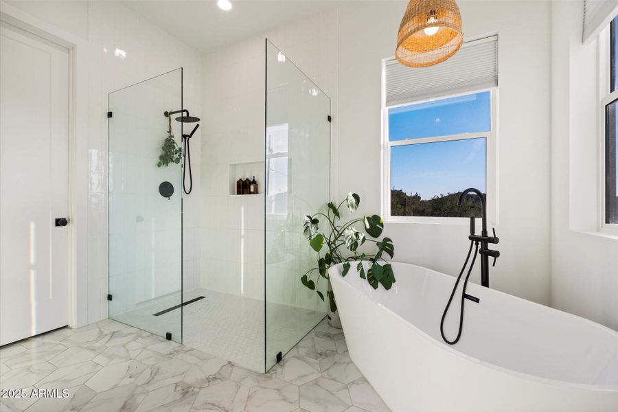 Shower / Soaking Tub Shower / Soaking Tub