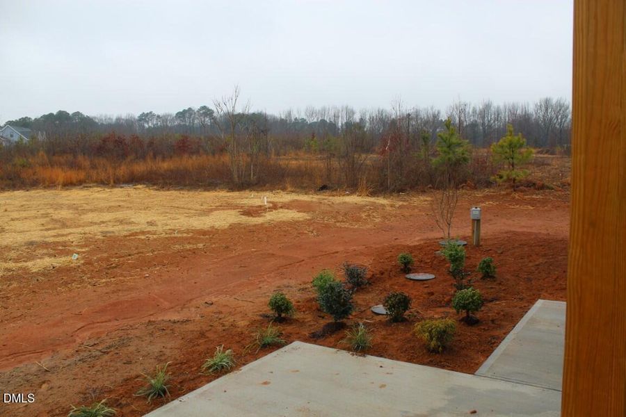 IMG_7350 (Medium) IMG_7350 (Medium)