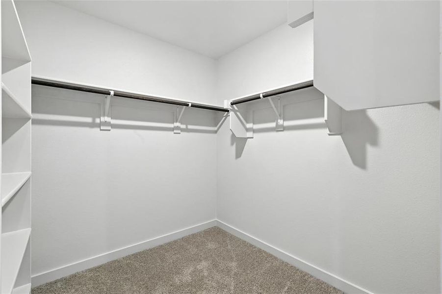 Spacious closet featuring carpet flooring
