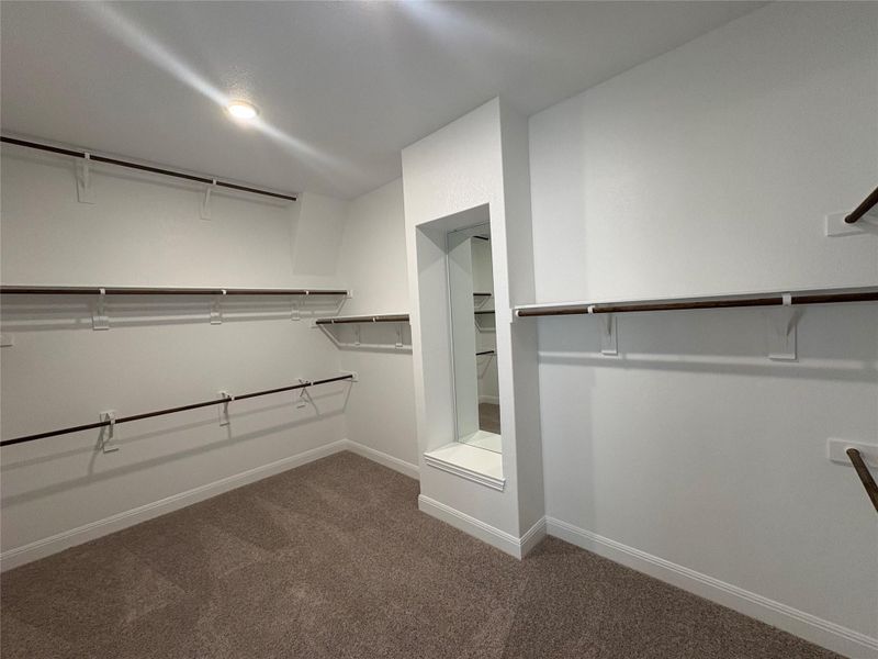 Walk in closet featuring carpet flooring Walk in closet featuring carpet flooring