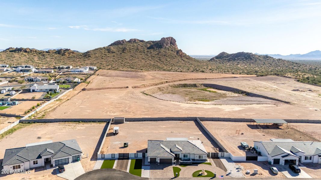 59 - Patrick 667 59 - Patrick 667