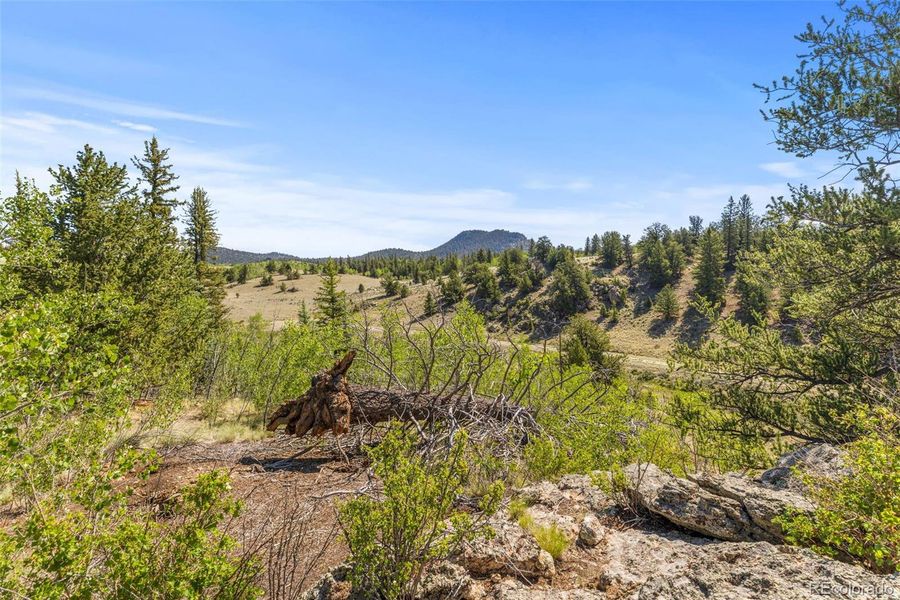 Image 14 of a home in .