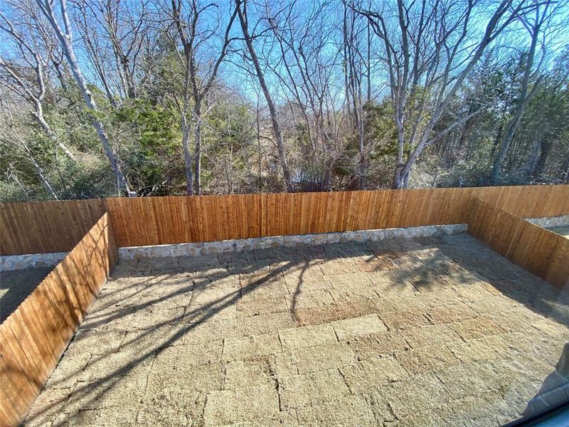 View of back yard with huge trees from upstairs window