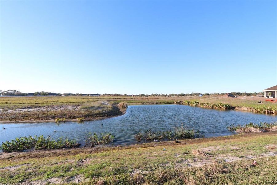 Natural landscape and outdoor views near Gracewater at Sarasota in Sarasota (Image 39).