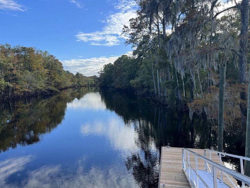 Dock area featuring a forest view and a water view