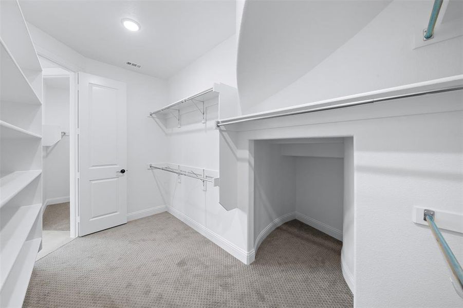 Spacious closet featuring carpet