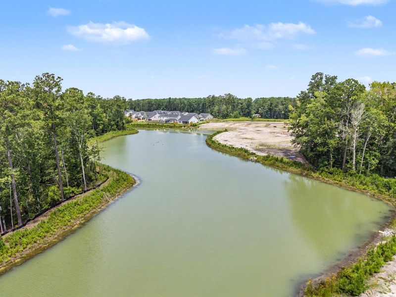Natural landscape and outdoor views near Tidewater at Lakes of Cane Bay in Summerville (Image 59).