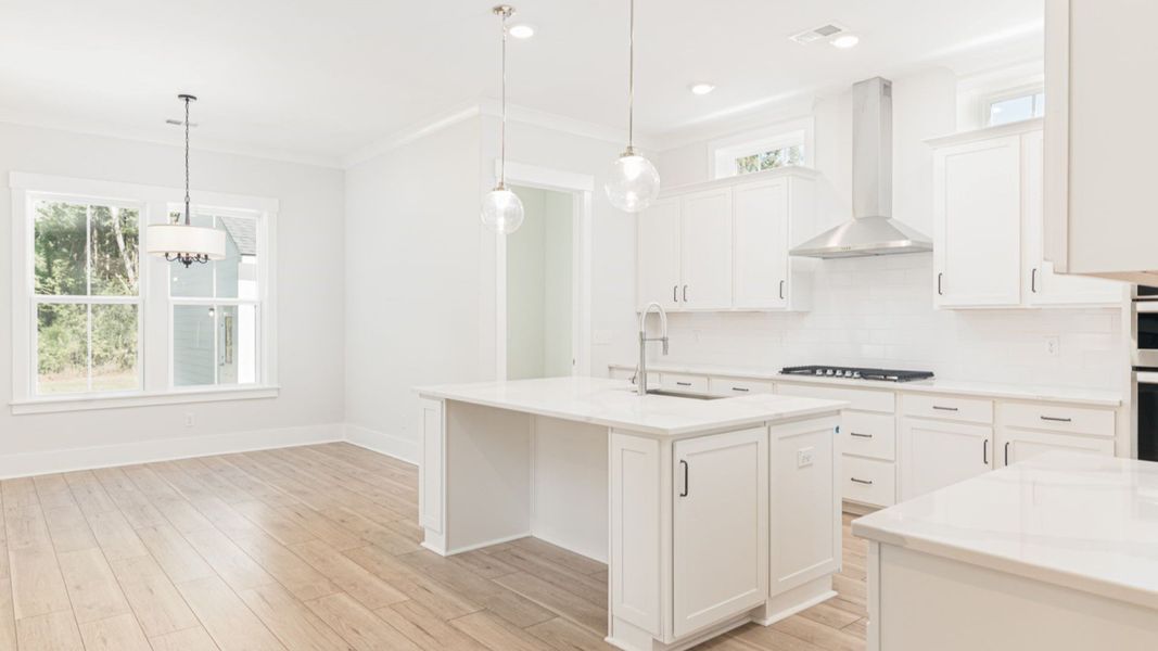Image 5 representing the Preakness II by DRB Homes in Ballam Oaks, Mount Pleasant, SC.