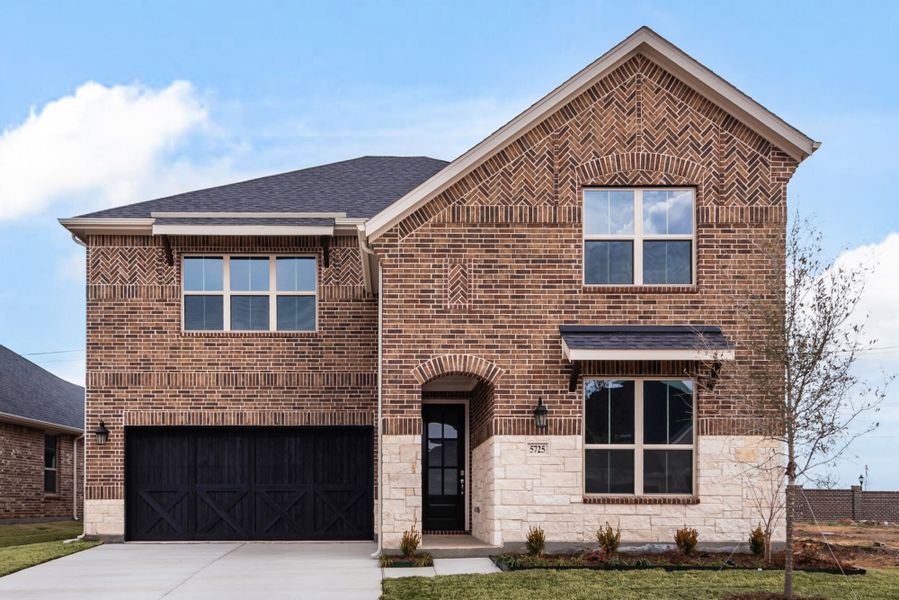 The Tiana - Old World Elevation