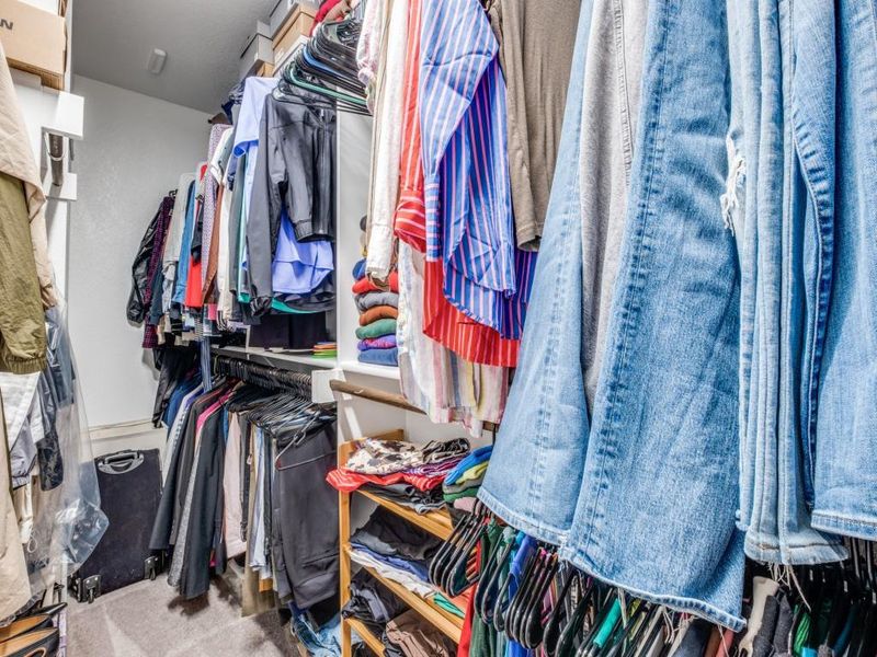 Walk in closet featuring carpet floors