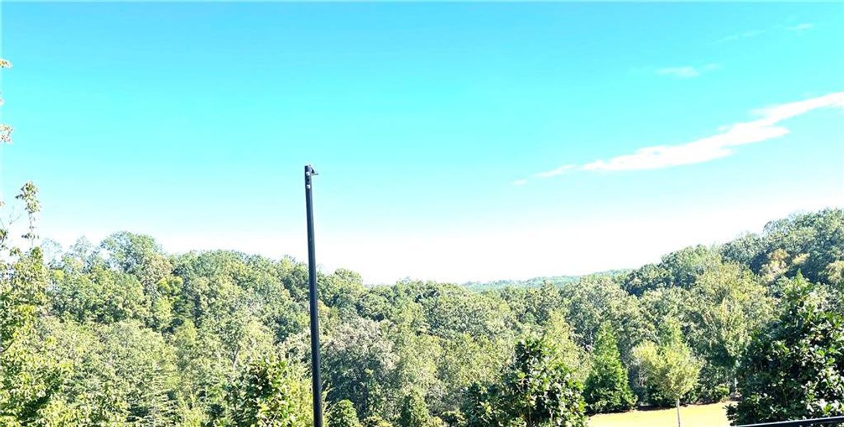 Natural landscape and outdoor views near  in Hoschton (Image 54).