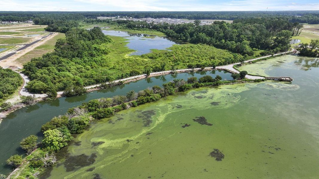 Natural landscape and outdoor views near Carolina Groves in Moncks Corner (Image 21).